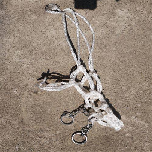 White-line chewing horse-heads can be adjusted for shoulder heights